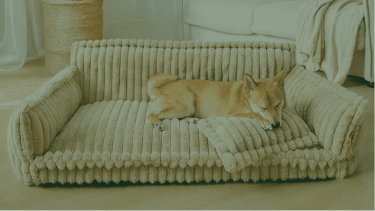 FunnyFuzzy