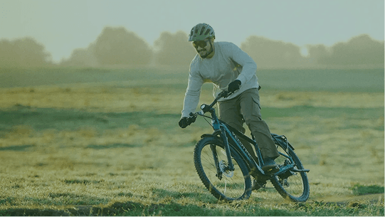 Velotric
